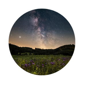 Une approche scientifique ET spirituelle de la vie